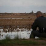 La dana ha provocado daños en agricultura por valor de mil millones