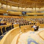 Sesión en el Senado con la bancada socialista vacía
