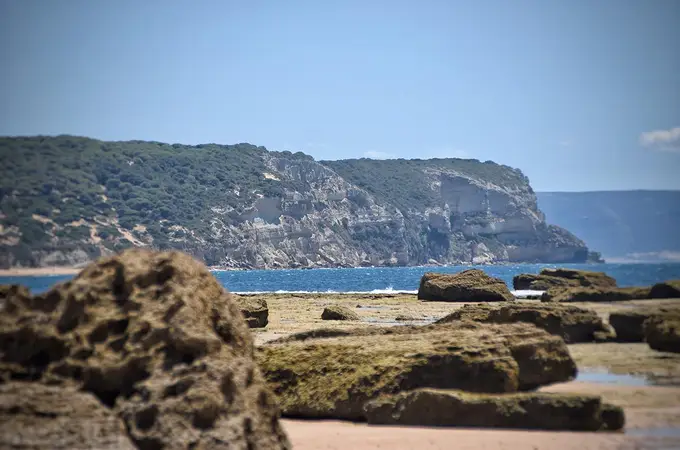 El Golfo de Cádiz despide el 2024 con actividad sísmica El Golfo de Cádiz despide el 2024 con actividad sísmica