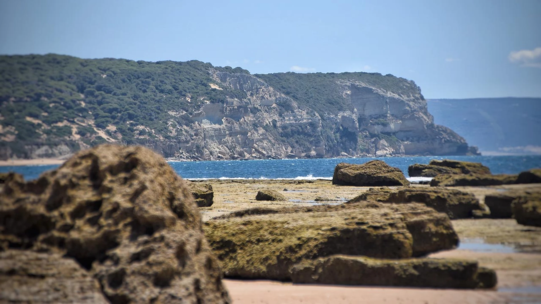 En las arenas del Cabo de Trafalgar están las piedras que llegaron con el tsunami de 1755