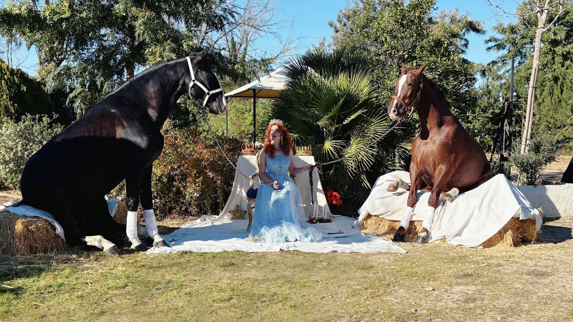 Triana Carrión, con alguno de sus "caballos artistas"