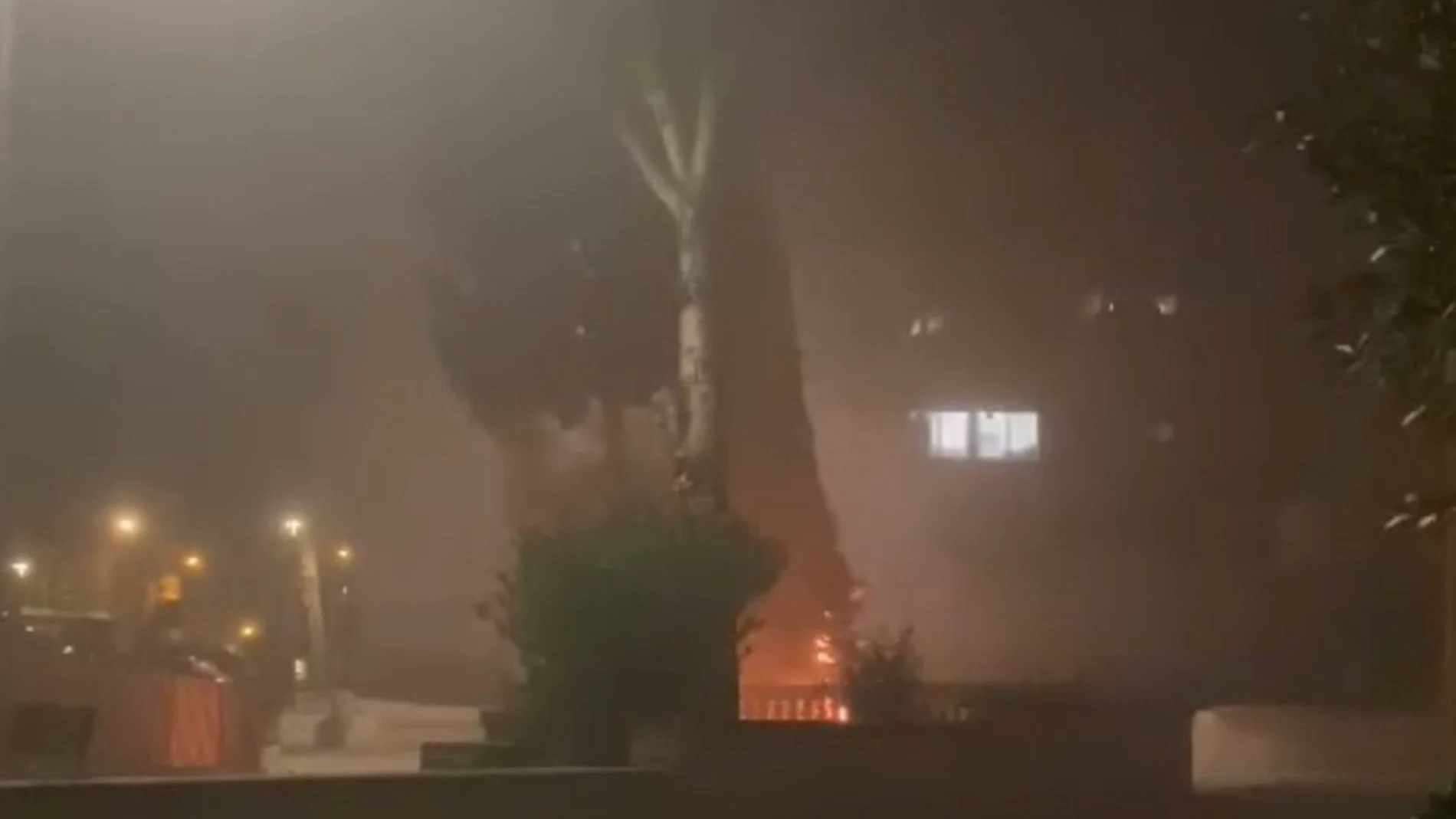 El PP insta al alcalde de L'Hospitalet a condenar la quema del árbol de Navidad