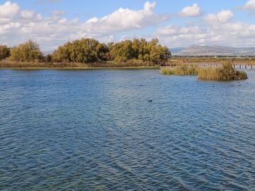 Las Tablas de Daimiel 