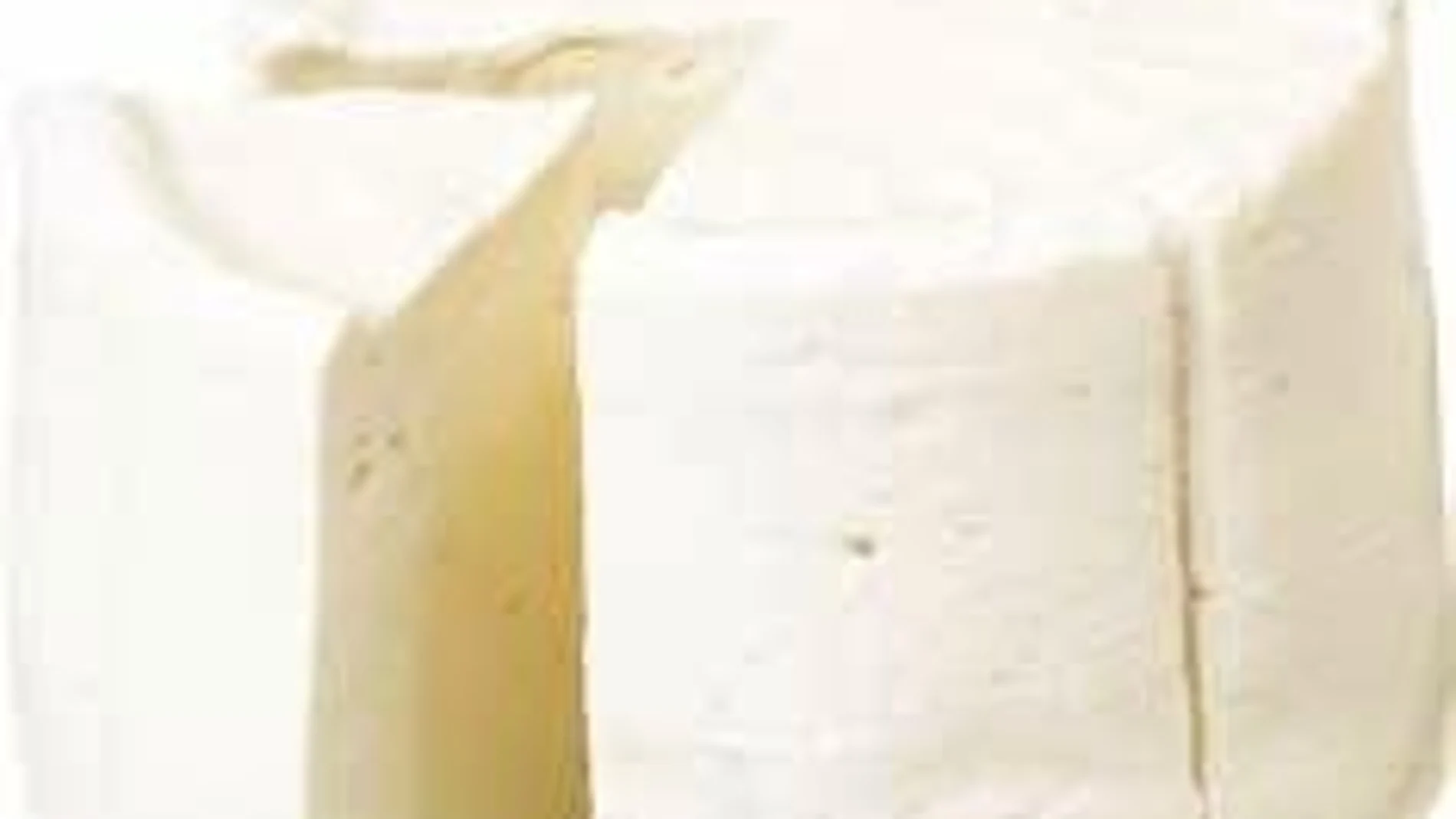 Imagen de un queso fresco de Burgos