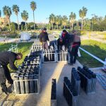Valencia disparará cuatro castillos simultáneos para despedir 2024