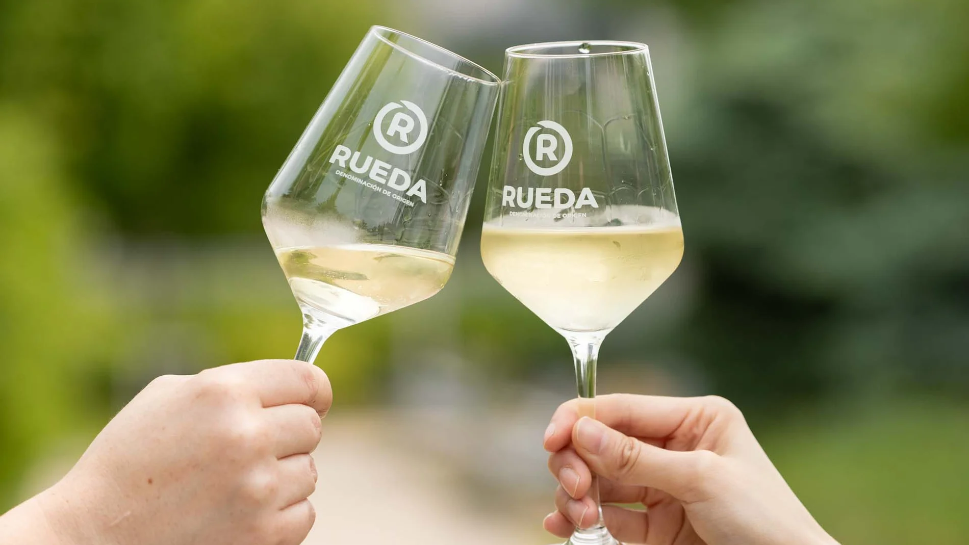 Brindis con dos copas de la DO Rueda