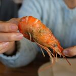 Gamba sin pelar