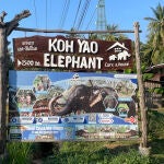 La Policía investiga la muerte de la turista española atacada por un elefante en Tailandia