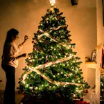 Adiós al árbol de Navidad: la nueva tendencia que arrasa en Europa