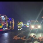 En libertad provisional el conductor ebrio que mató accidentalmente a una joven en Guadarrama