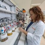 Ainia desarrolla nuevos modelos in vitro para el diseño de estrategias que mejoren la salud intestinal