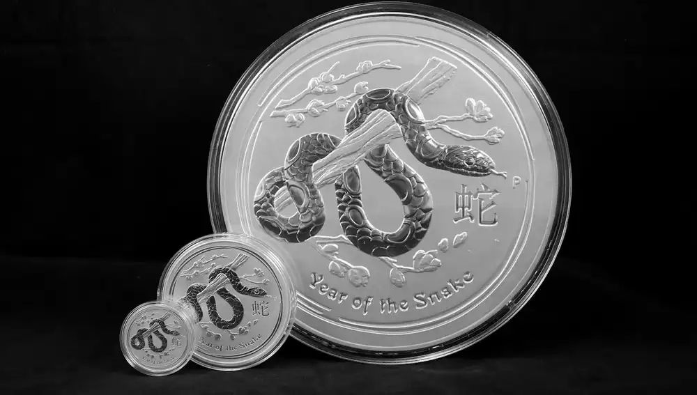 Año chino de la Serpiente