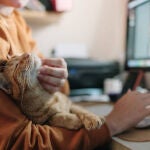 ¿Los gatos prefieren tener dueño o dueña? esto dice un nuevo estudio científico 