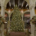 Zona de acceso a la Fundación Cajasol, decorada con el árbol de Navidad