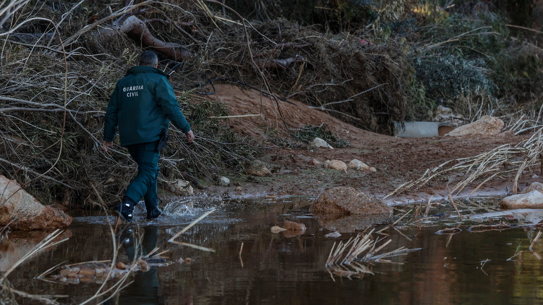 Un agente de la Guardia Civil busca a un desaparecido en los barrancos del río Turia, a 13 de enero de 2025, en Pedralba, Valencia, Comunidad Valenciana (España). Un equipo especializado de la Guardia Civil se ha vuelto a desplazar a la zona de Pedralba (Valencia) tras obtener nuevos datos de geolocalizaciones de una de las tres personas que permanecen desaparecidas tras la catastrófica DANA del pasado 29 de octubre. 15 ENERO 2025;DANA;BÚSQUEDA;DESAPARECIDOS;FALLECIDOS;VÍCTIMAS;LLUVIA;RIADAS...