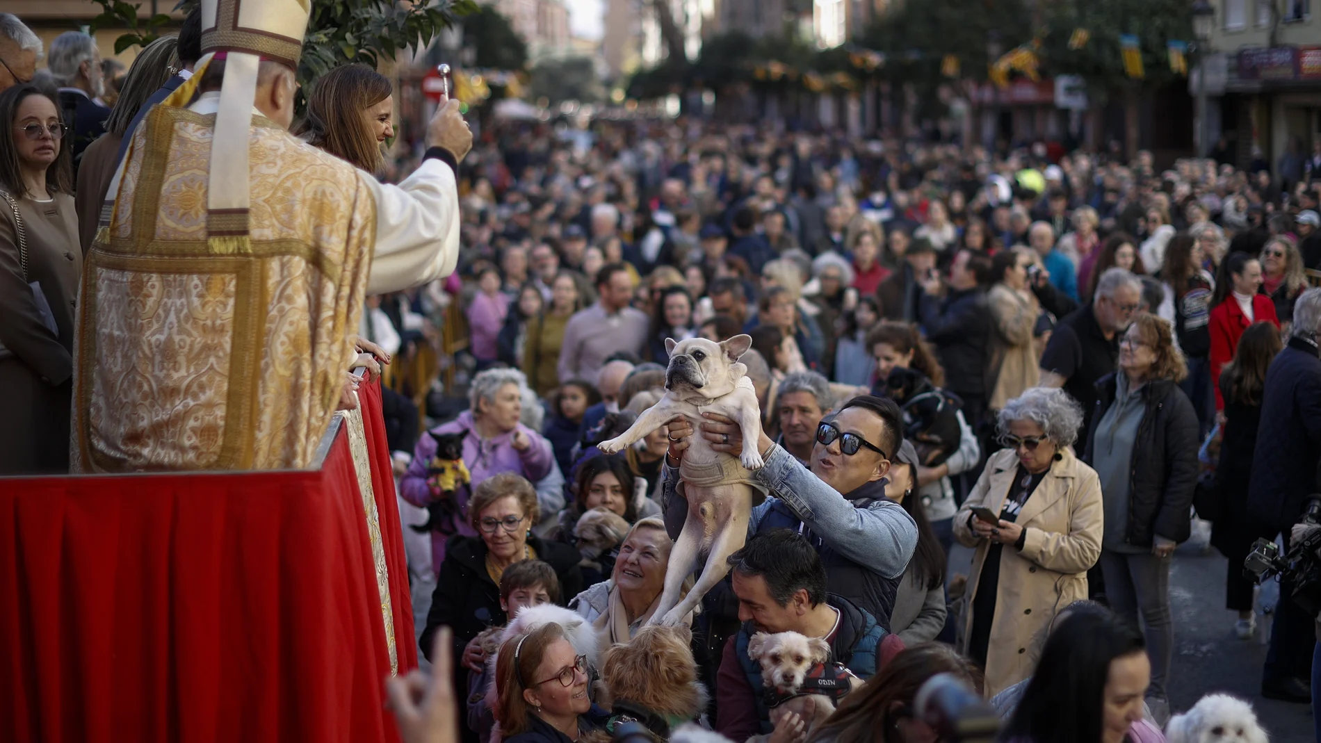 Sant Antoni era muy venerado por los ganaderos porque protegía a los animales