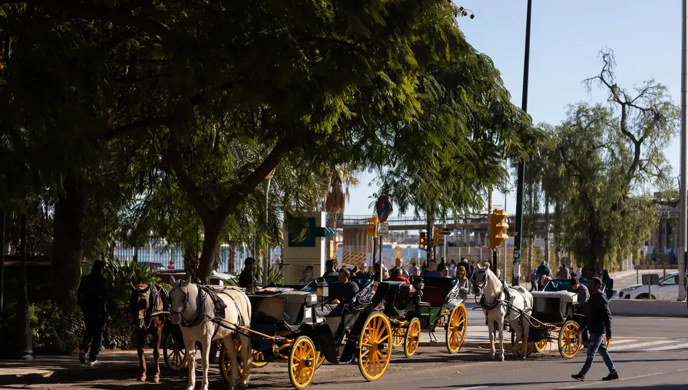 El fin de los coches de caballos: bienestar animal, empleos en riesgo y turistas divididos