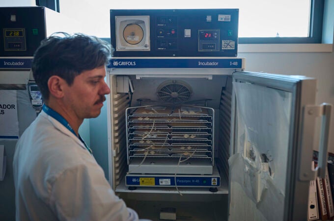 El Hospital 12 de Octubre de Madrid acoge el primer 'Maratón de Donación de Sangre' de 2025 este miércoles, en El Hospital 12 de Octubre de Madrid acoge el primer 'Maratón de Donación de Sangre' de 2025 este miércoles, en