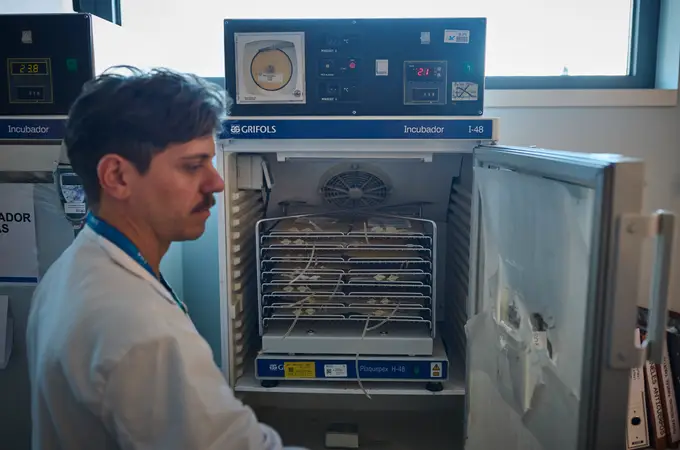 Los hospitales madrileños piden donaciones urgentes de sangre de los grupos 0+ y A+ Los hospitales madrileños piden donaciones urgentes de sangre de los grupos 0+ y A+