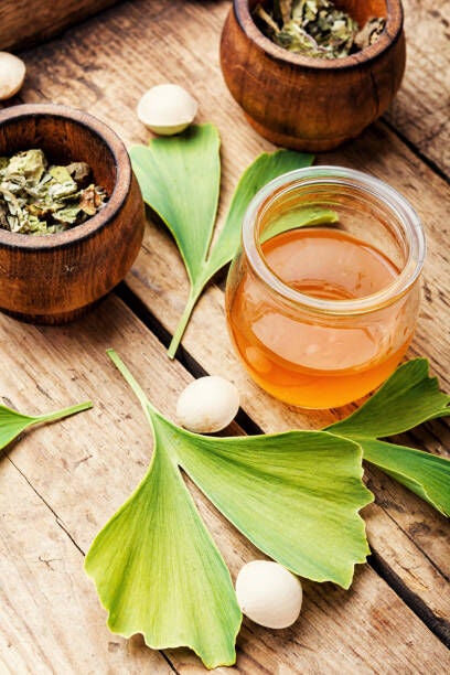 Infusión de ginkgo biloba