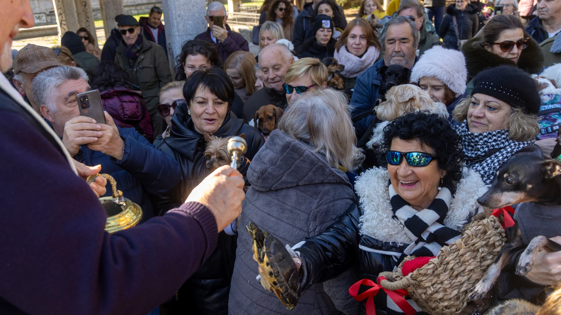 Bendiciones a los animales por San Antón en el Campo de San Francisco de Salamanca,