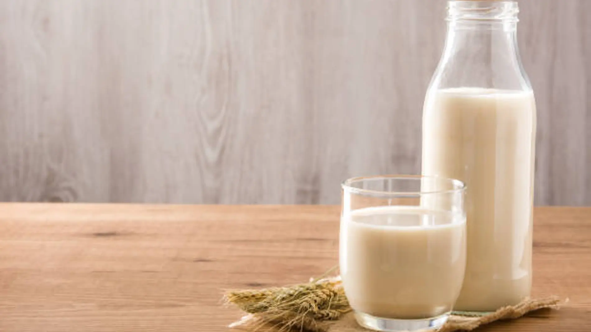 Leche vegetal