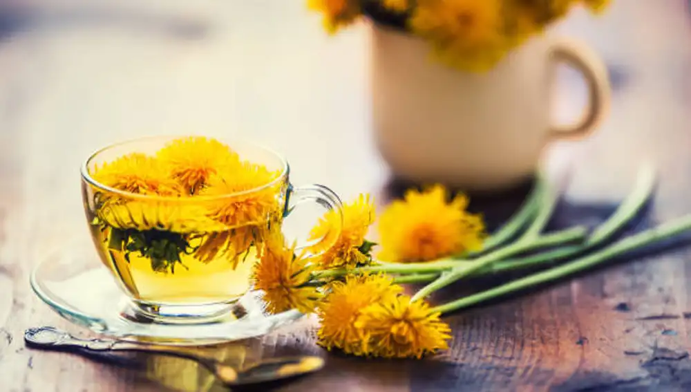 Infusión de hojas de diente de león