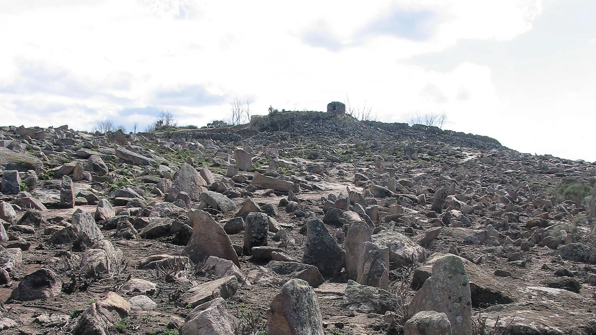Campo de piedras hincadas del castro celta de El Castillo