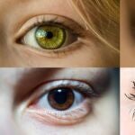 Test de personalidad: esto es lo que dice tu color de ojos sobre tu carácter Test de personalidad: esto es lo que dice tu color de ojos sobre tu carácter