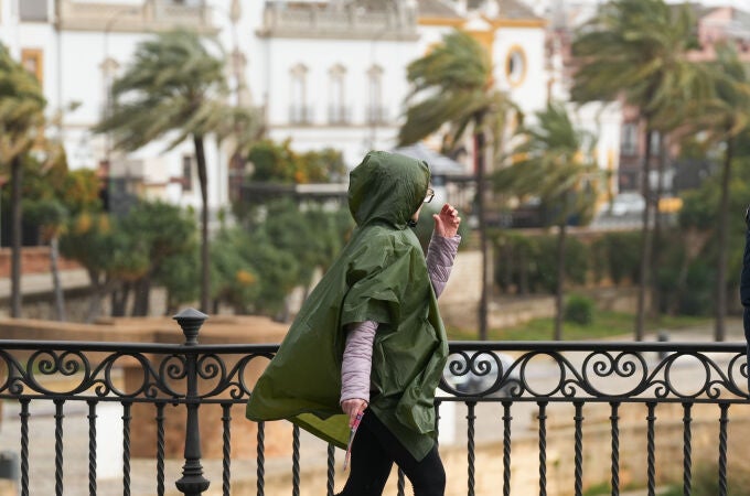 Sevilla afronta otro día de lluvia intensa y riesgo de tormentas Sevilla afronta otro día de lluvia intensa y riesgo de tormentas
