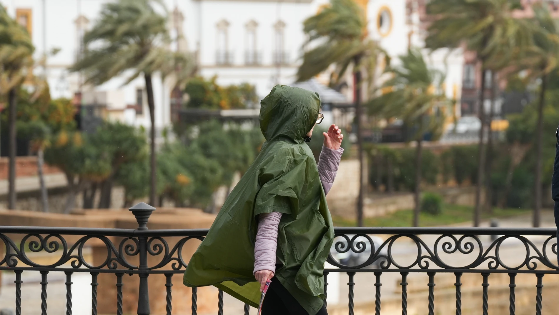 Imágenes de personas por las calles de la ciudad bajo las inclemencias del tiempo. A 22 de enero de 2025 en Sevilla, Andalucía (España). La ciudad de Sevilla continúa este miércoles bajo un panorama meteorológico adverso, con lluvias persistentes y posibilidad de tormentas. Las autoridades recomiendan precaución en los desplazamientos, especialmente en zonas propensas a inundaciones.22 ENERO 2025María José López / Europa Press22/01/2025