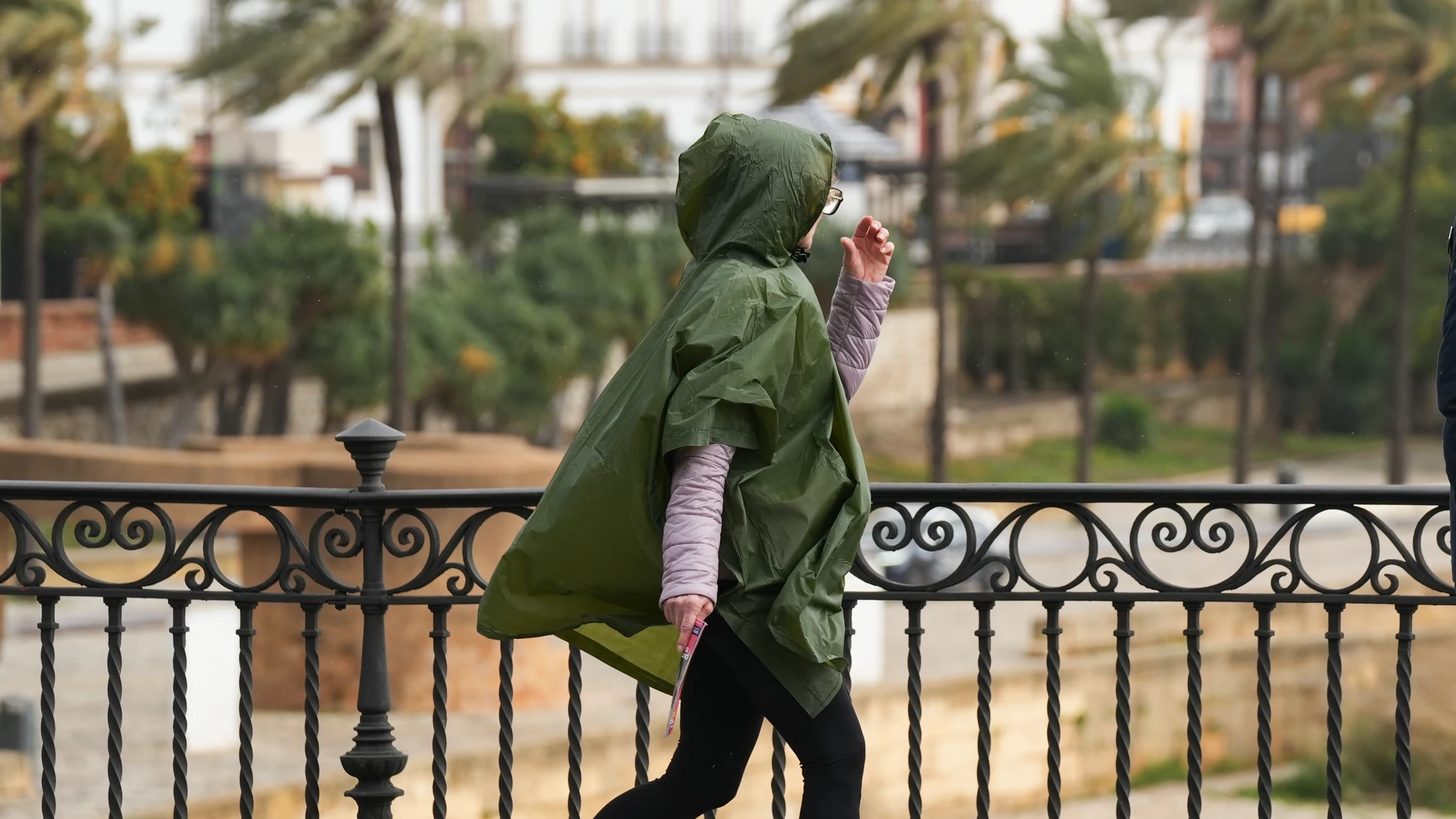 Imágenes de personas por las calles de la ciudad bajo las inclemencias del tiempo. A 22 de enero de 2025 en Sevilla, Andalucía (España). La ciudad de Sevilla continúa este miércoles bajo un panorama meteorológico adverso, con lluvias persistentes y posibilidad de tormentas. Las autoridades recomiendan precaución en los desplazamientos, especialmente en zonas propensas a inundaciones.22 ENERO 2025María José López / Europa Press22/01/2025