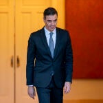 Pedro Sánchez recibe al secretario general de la OTAN, Mark Rutte 