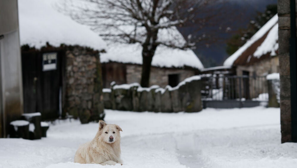 Así es el pueblo de Galicia en el que podrás dormir en casas de más de ...