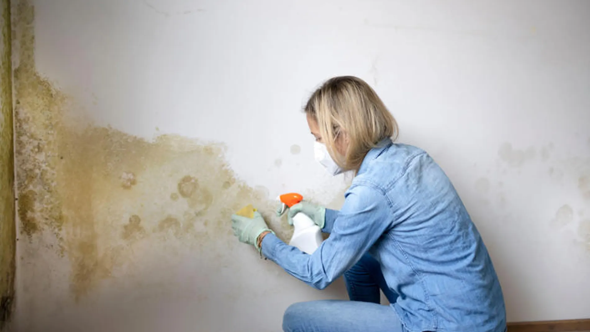 Una experta en limpieza revela el truco para eliminar las humedades de la pared: “No tengo ni que refregar”