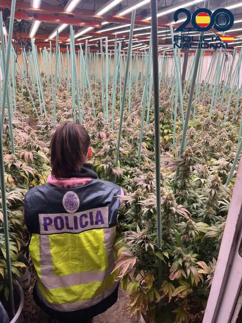 Luchas entre narcos permiten descubrir una gran planta de distribución de droga en Huesca