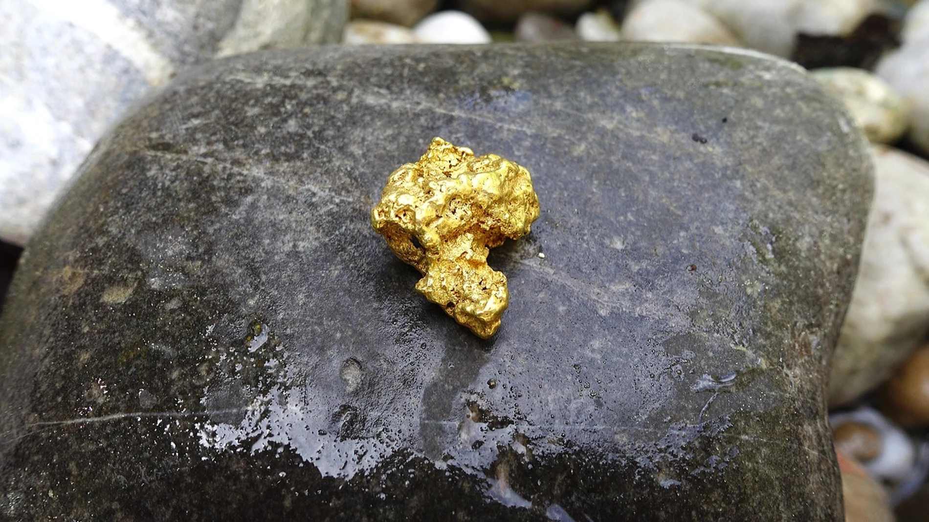 Imagen de archivo de una pepita de oro