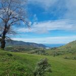 Irlanda en Canarias: un sendero mágico rodeado de paisajes verdes y vistas impresionantes