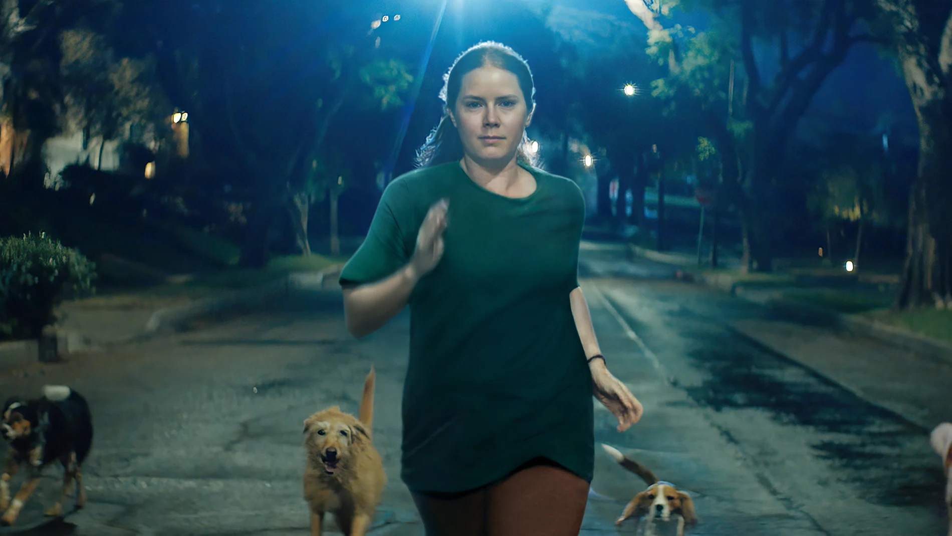 Amy Adams tiene la capacidad de convencernos de ser una madre agobiada, y también un perro