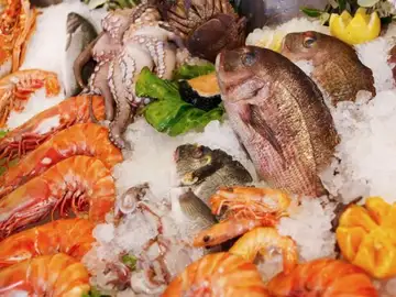 Fotografía de banco de imágenes sobre pescados y mariscos Fotografía de banco de imágenes sobre pescados y mariscos