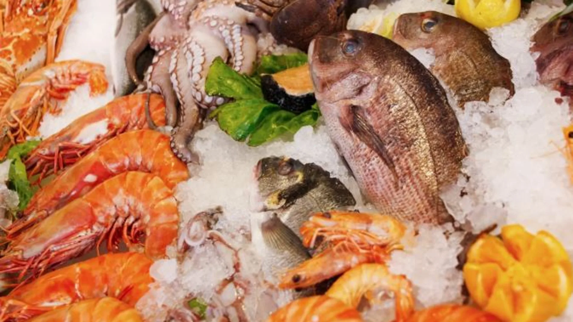 Fotografía de banco de imágenes sobre pescados y mariscos