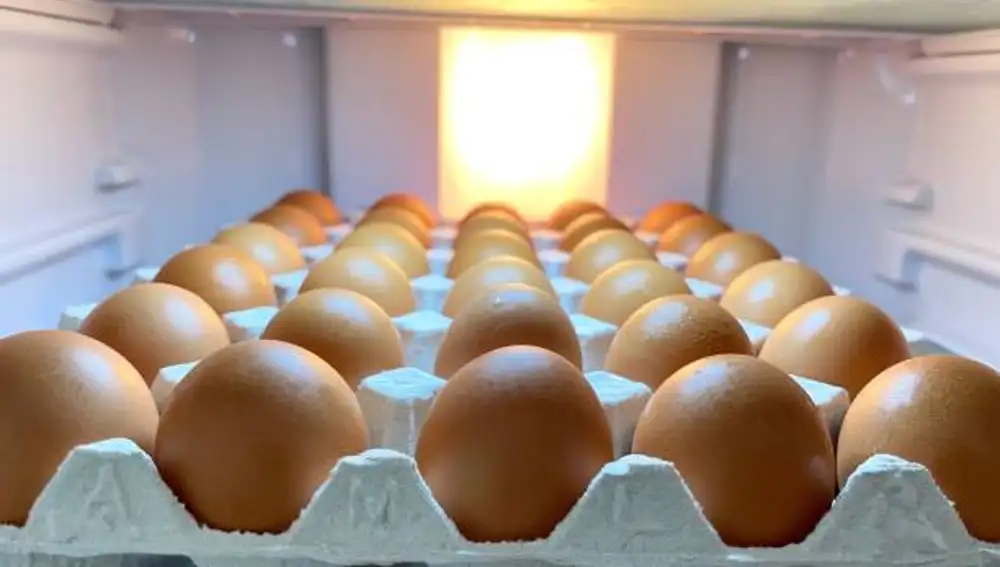 ¿Huevos en la nevera o a temperatura ambiente? Un nutricionista explica cuál es la mejor opción
