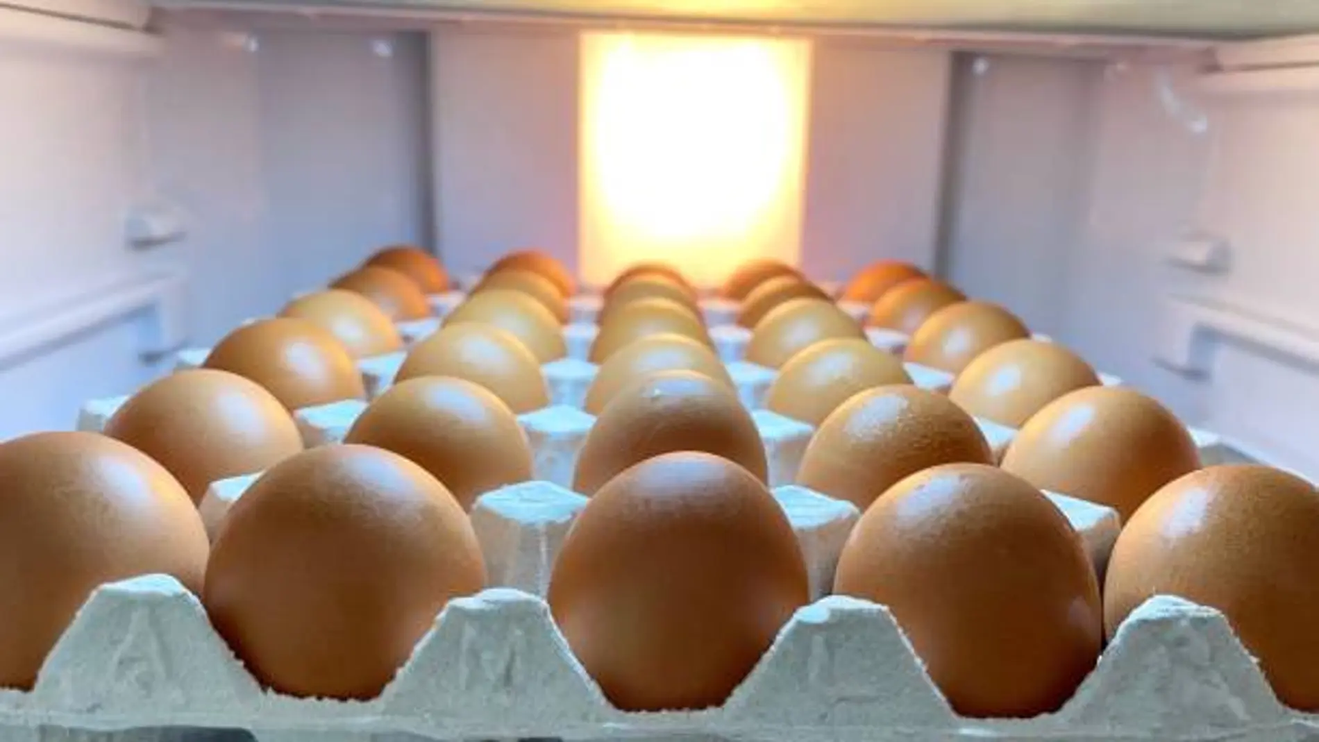 ¿Huevos en la nevera o a temperatura ambiente? Un nutricionista explica cuál es la mejor opción