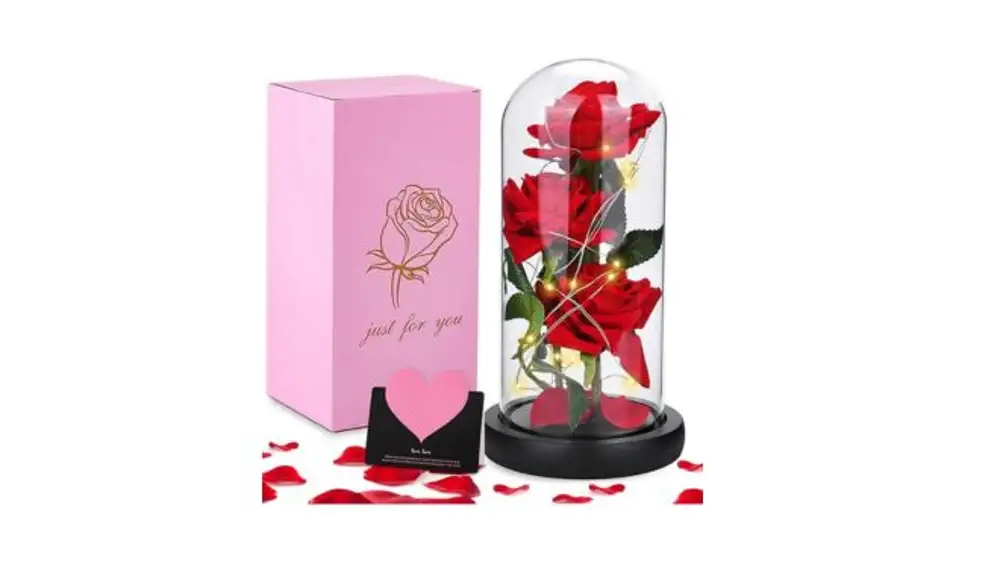 Rosa Eterna JOTOL