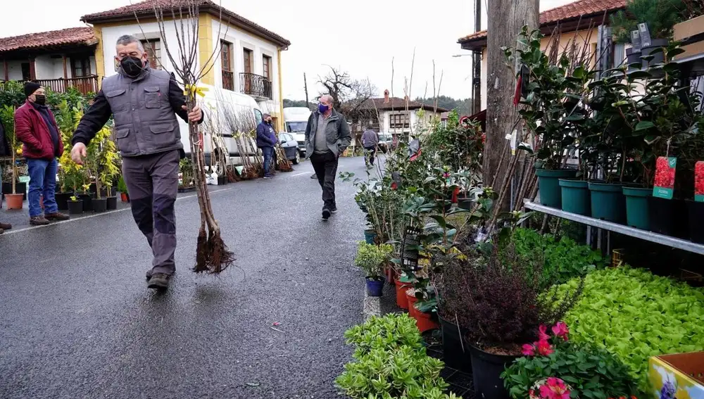 Feria del Árbol en Balmori