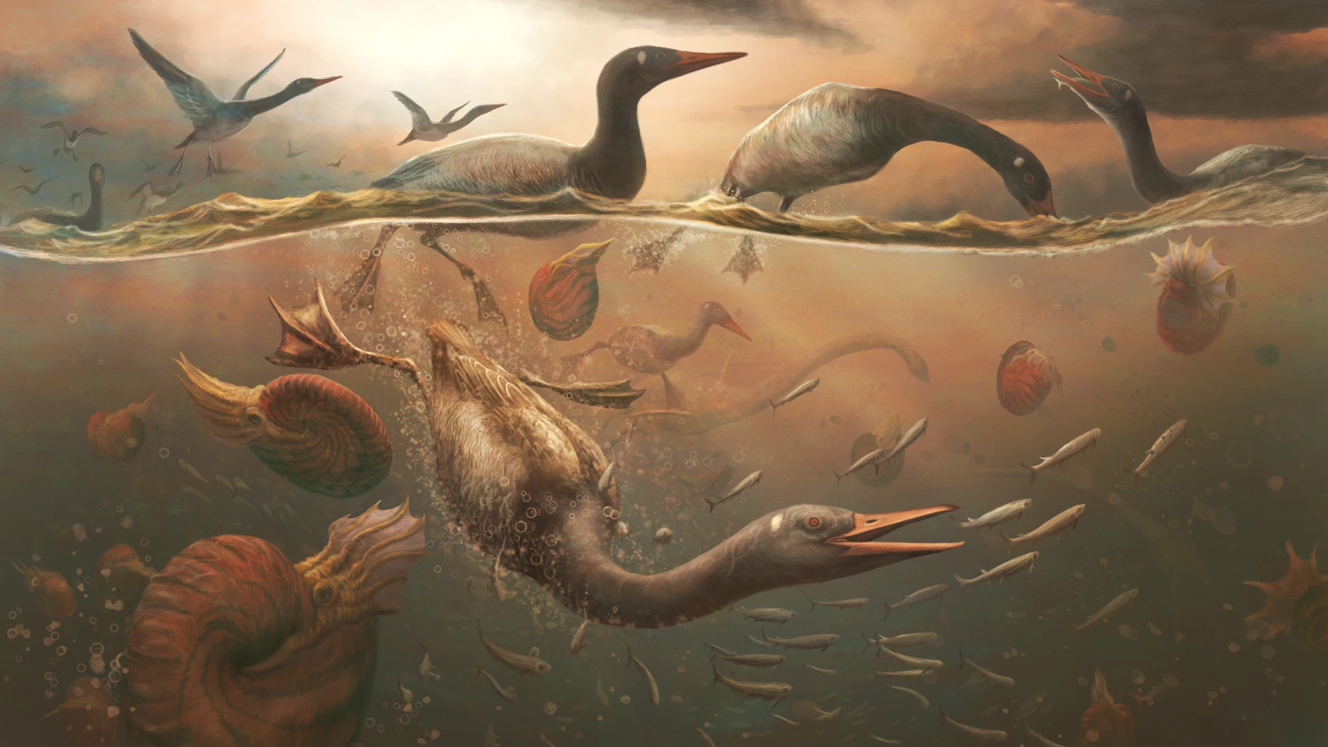 El ave moderna del Cretácico tardío, Vegavis iaai, buceando en busca de peces en el océano poco profundo frente a la costa de la península antártica, acompañado por ammonites y plesiosaurios.