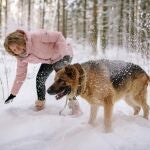  El truco de un dueño para mantener calientes las patas de los perros durante los paseos invernales 