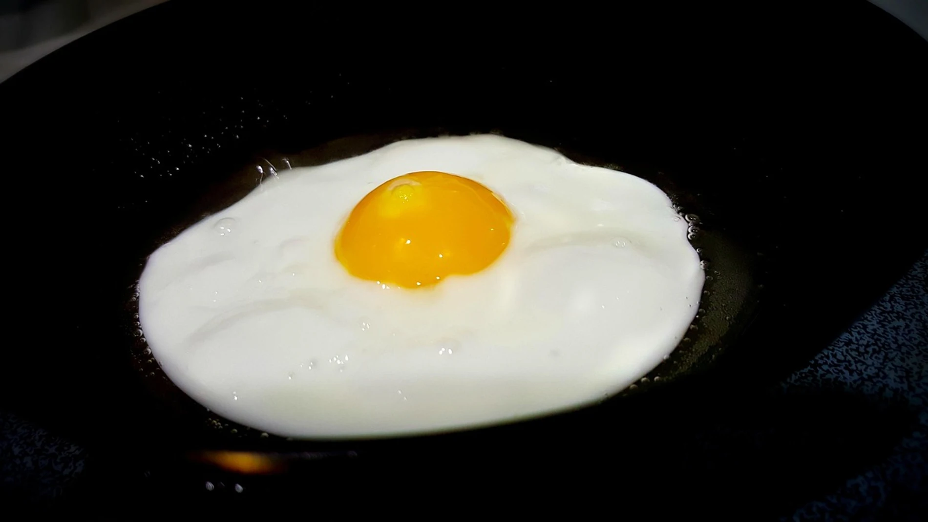 Alimentación