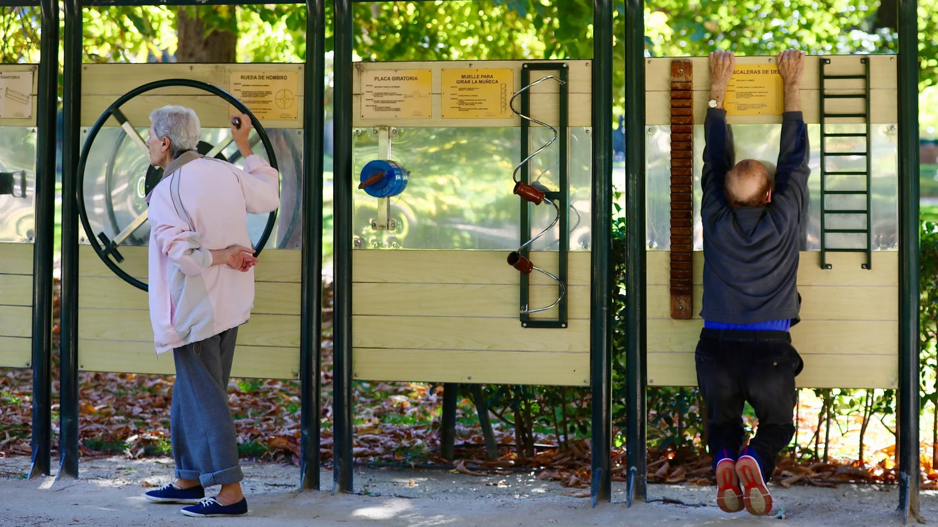personas mayores haciendo ejercicios de gimnasia en aparatos en un parque