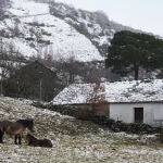 Nieve en la localidad leonesa de Villablino